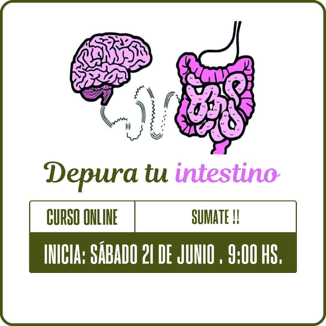 20250621_depuratuintestino